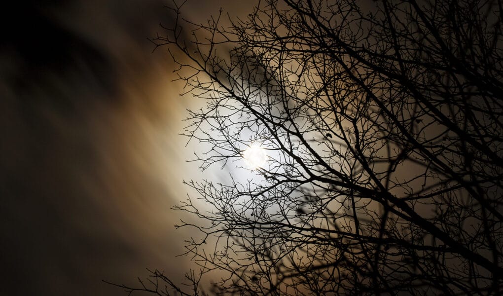 Whatever Comes Up – Nights To Remember