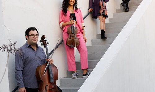 5 Questions with Vitamin String Quartet