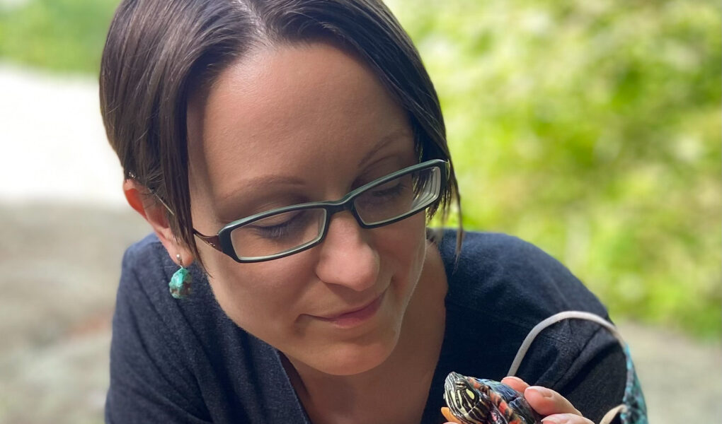 Have You Met – Sarah Breznen