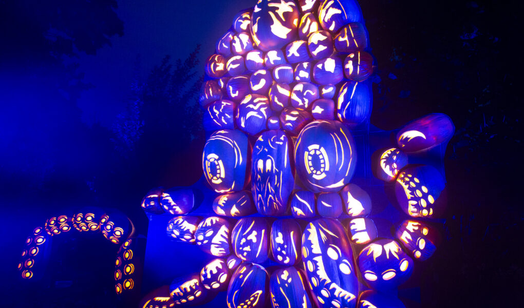 Jack’ O Lantern Blaze: Light it Up