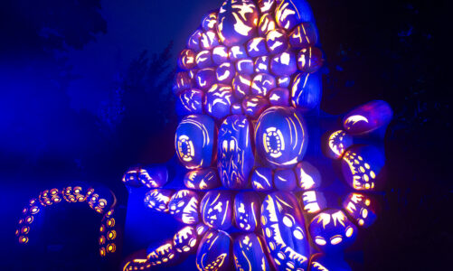 Jack’ O Lantern Blaze: Light it Up