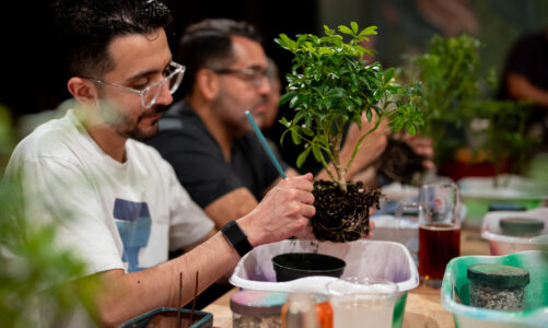 Is That a Thing? – Bonsai and Beer Nights