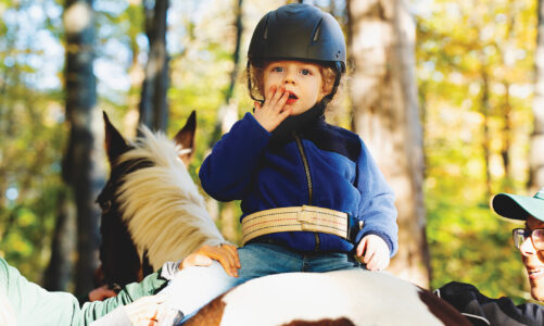 Ridgebury Farms- Hippotherapy