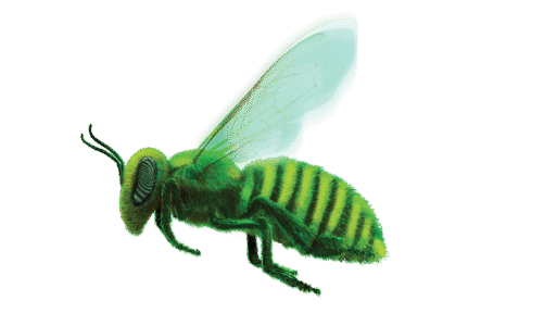 Culinary Chemist – Buzz