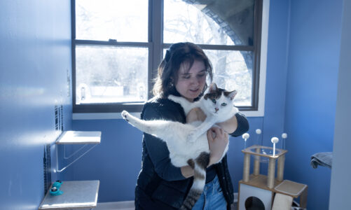 Is That a Thing? -Catopia