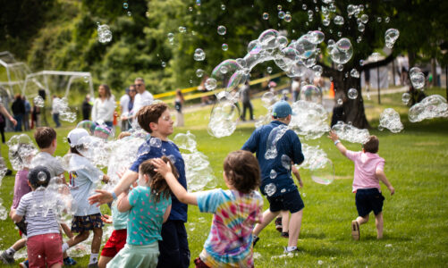 Ridgefield Town Party