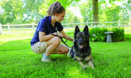 Canine College Turns 80