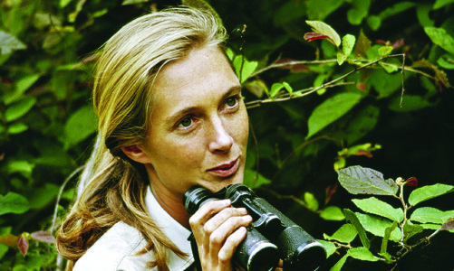 Jane Goodall